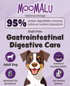 Gastrointestinal Digestive Care