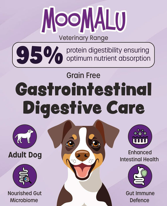 Gastrointestinal Digestive Care